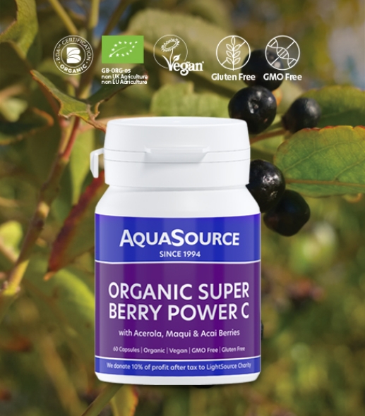SUPER BERRIES. SUPER BENEFITS! 